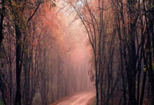 贵州客场大胜建业，积分榜排名继续攀升