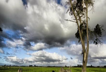 球队连胜将冲击历史记录，成为焦点