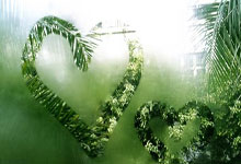 太阳客场险胜掘金，保持不败纪录