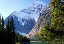 网络球迷评选最佳球队，民意呈现多元