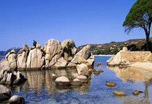 里尔主场告胜，追赶前列球队